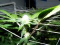 100_8071.jpg