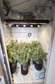 the room at 6 wks-1-2.jpg