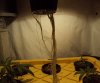 DSC04066.JPG