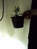 DSC04106.JPG