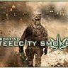 SteelCity Smoker