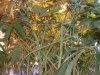 under canopy.jpg