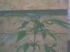 plant in 11week of vegg 055.jpg