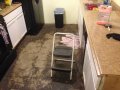 IMG_1867a.jpg