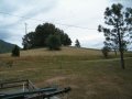 Pasture 05 21 18 001.jpg