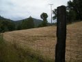 Pasture 05 21 18 003.jpg