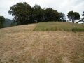 Pasture 05 21 18 006.jpg