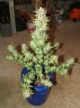 2019Grow052619 014.jpg