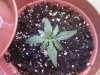 Photo-0473.jpg