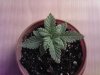 Photo-0477.jpg