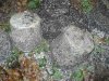 mono102 042.jpg