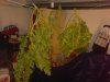 DSC00991.jpg