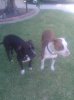 IMG_20120614_171615.jpg