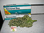 DTRave420