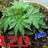 420inside