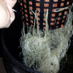20161220_164508