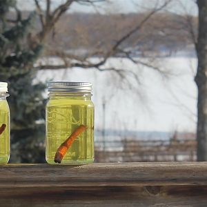 Canna Anti-freeze (1)