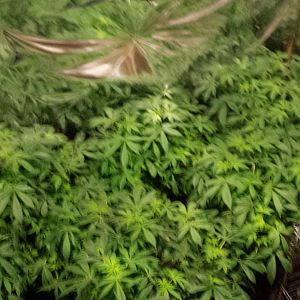 20170223_094332