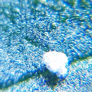 20170404_110951