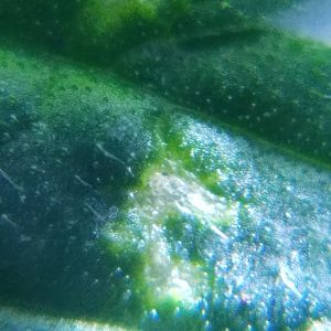20170404_111044