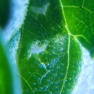 20170404_111056