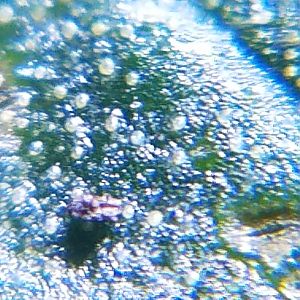 20170404_111701