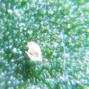 20170404_111851