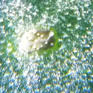 20170404_112635
