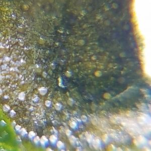 20170404_112956
